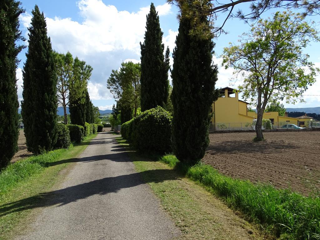 La Vecchia Stalla B&B Narni Exterior foto